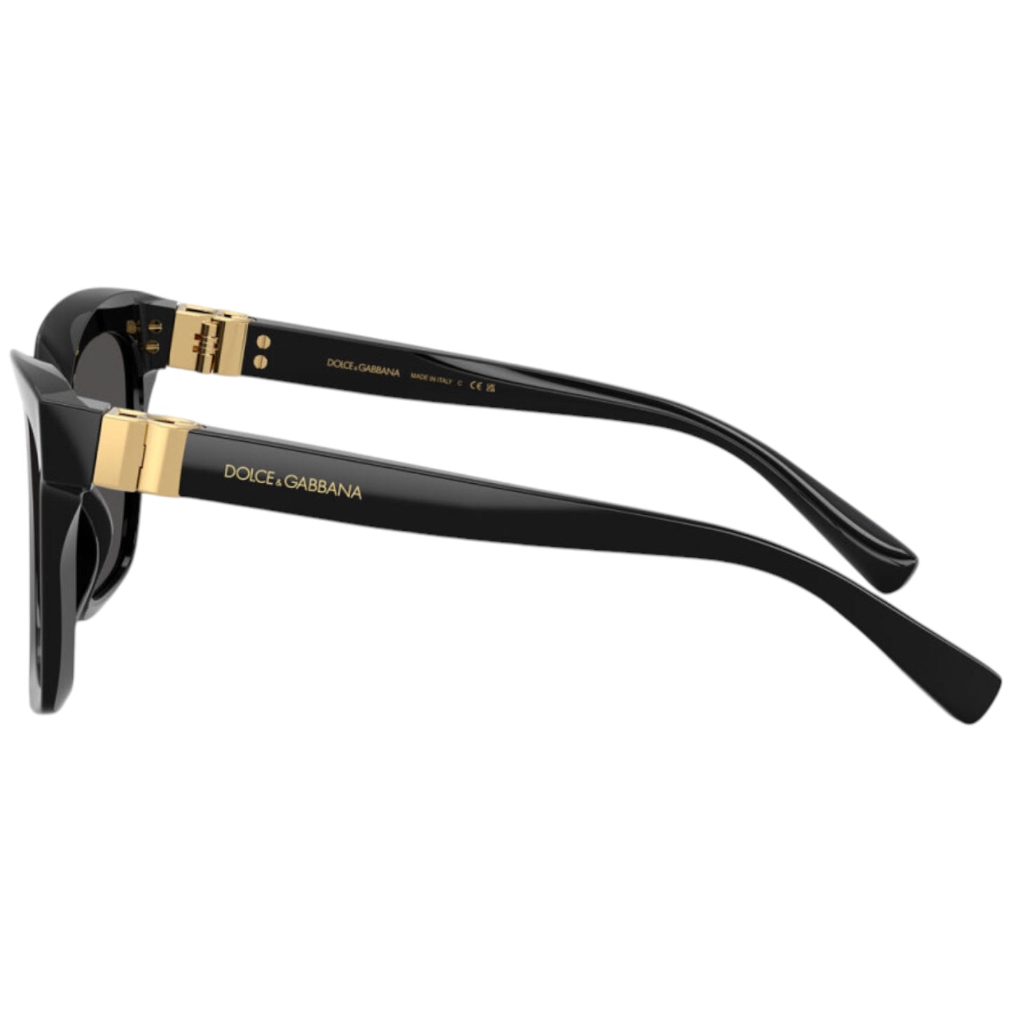 Dolce & Gabbana DG 4498