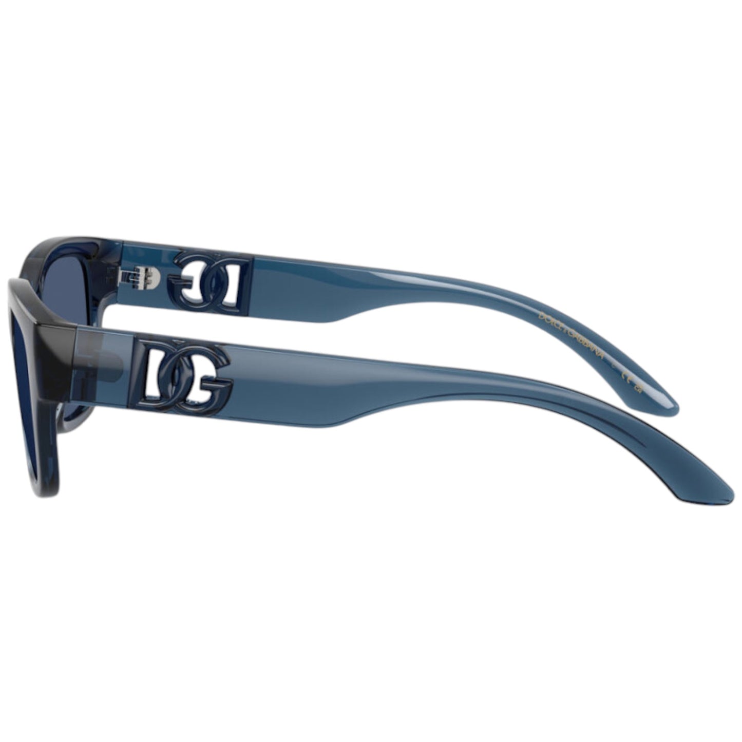 Dolce & Gabbana DX 6009