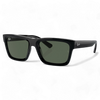 RayBan RB 4396 WARREN