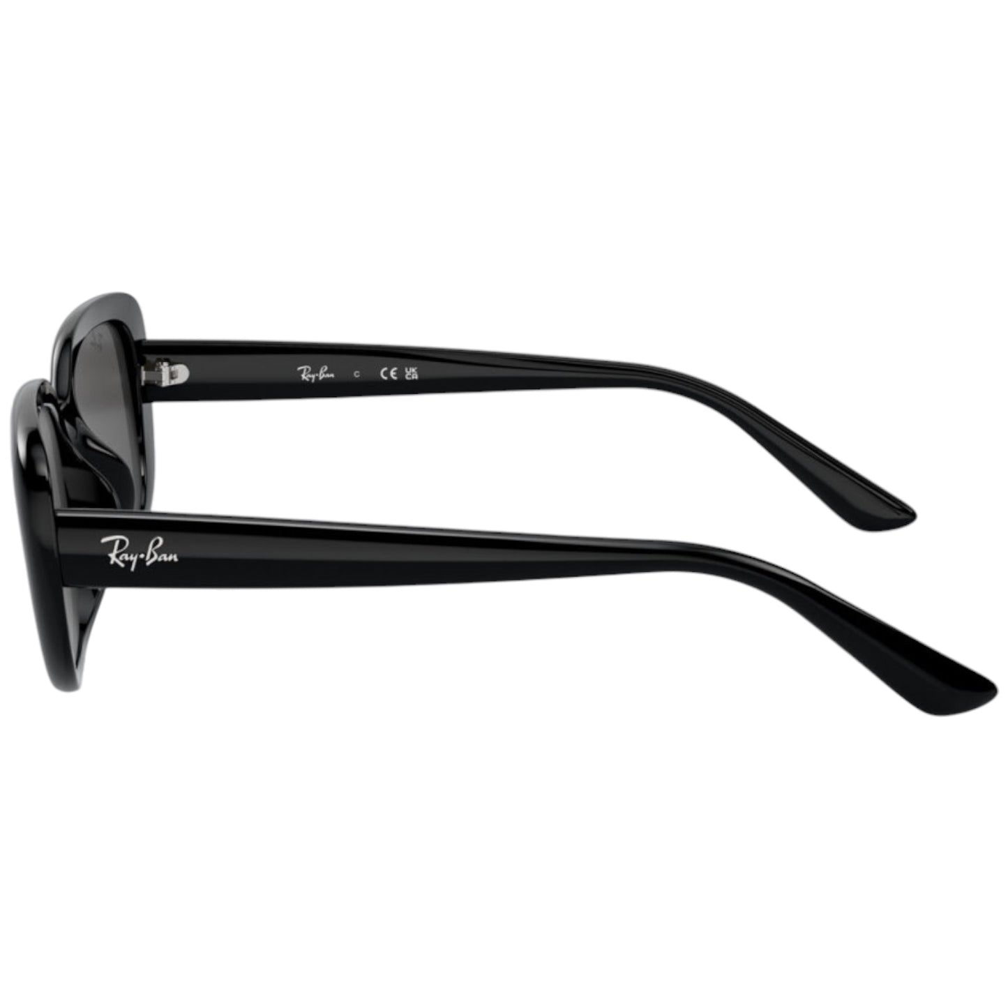 RayBan RB 4421D