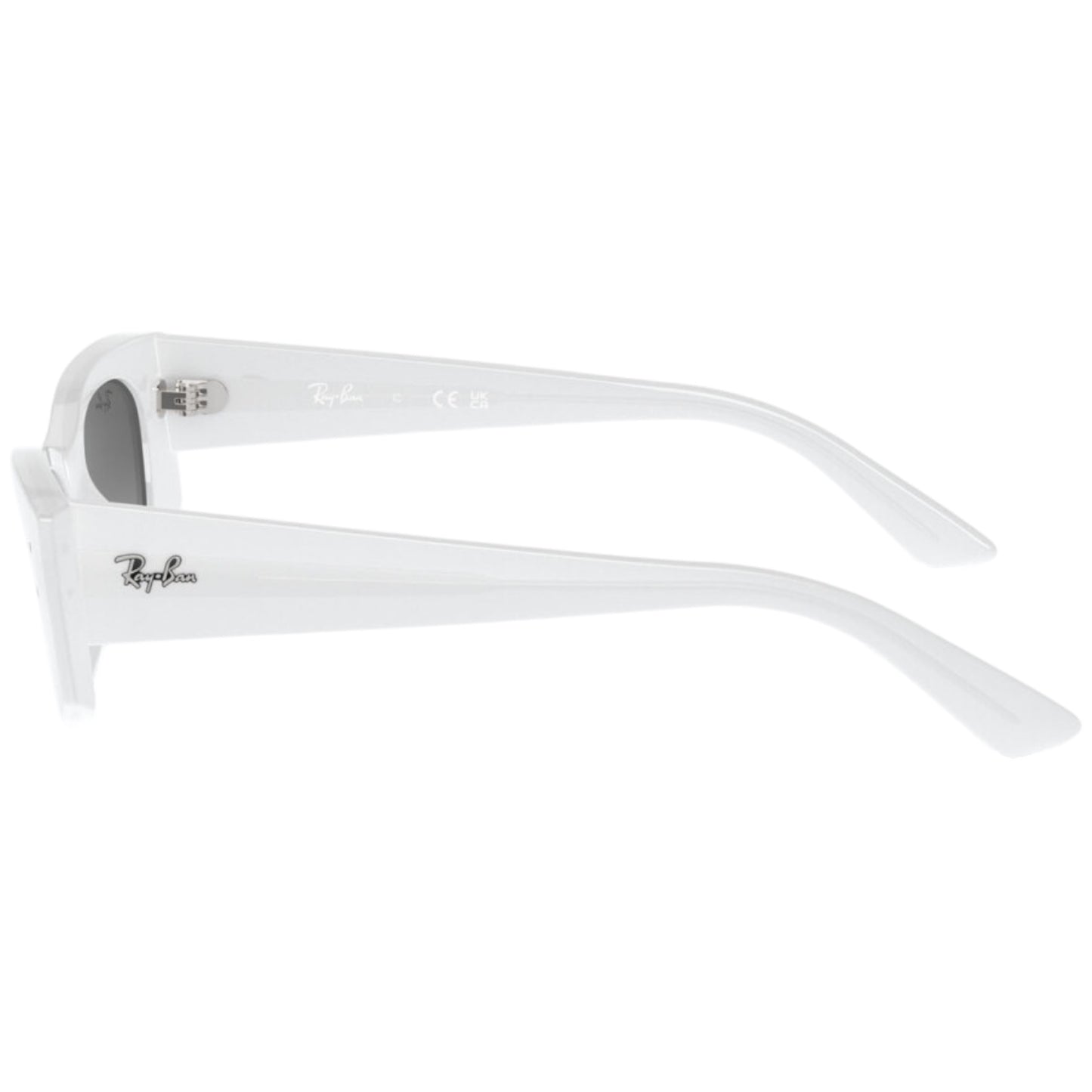 RayBan RB 4427 KAT