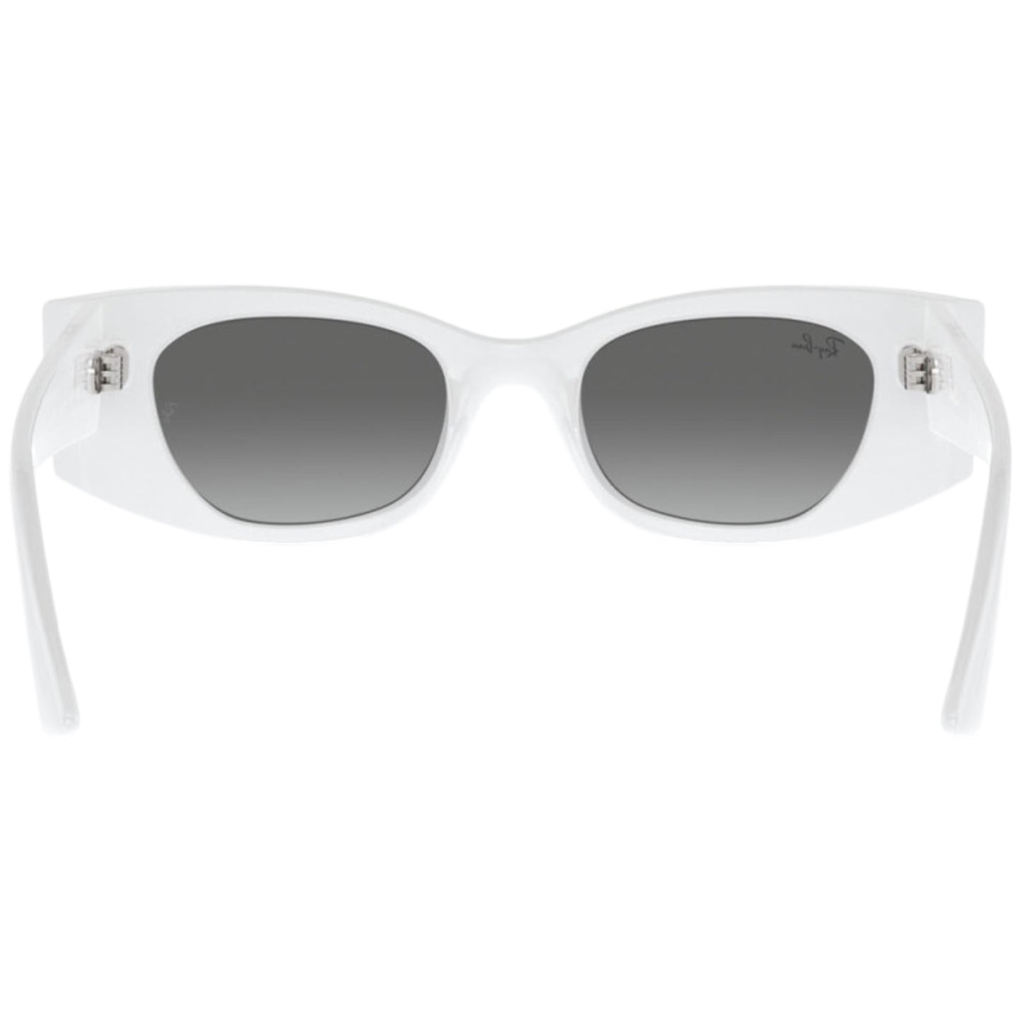 RayBan RB 4427 KAT