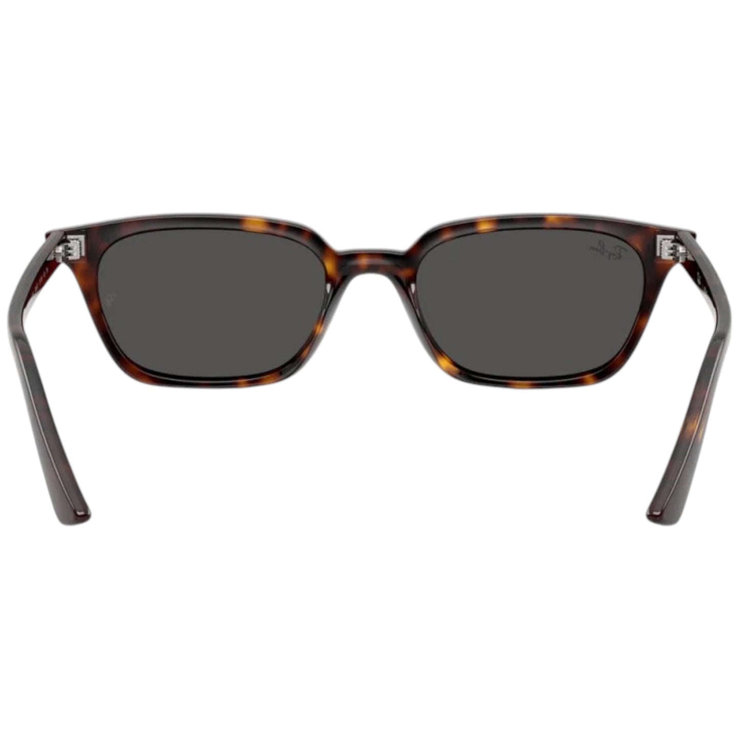 RayBan RB 4456 ZAYA