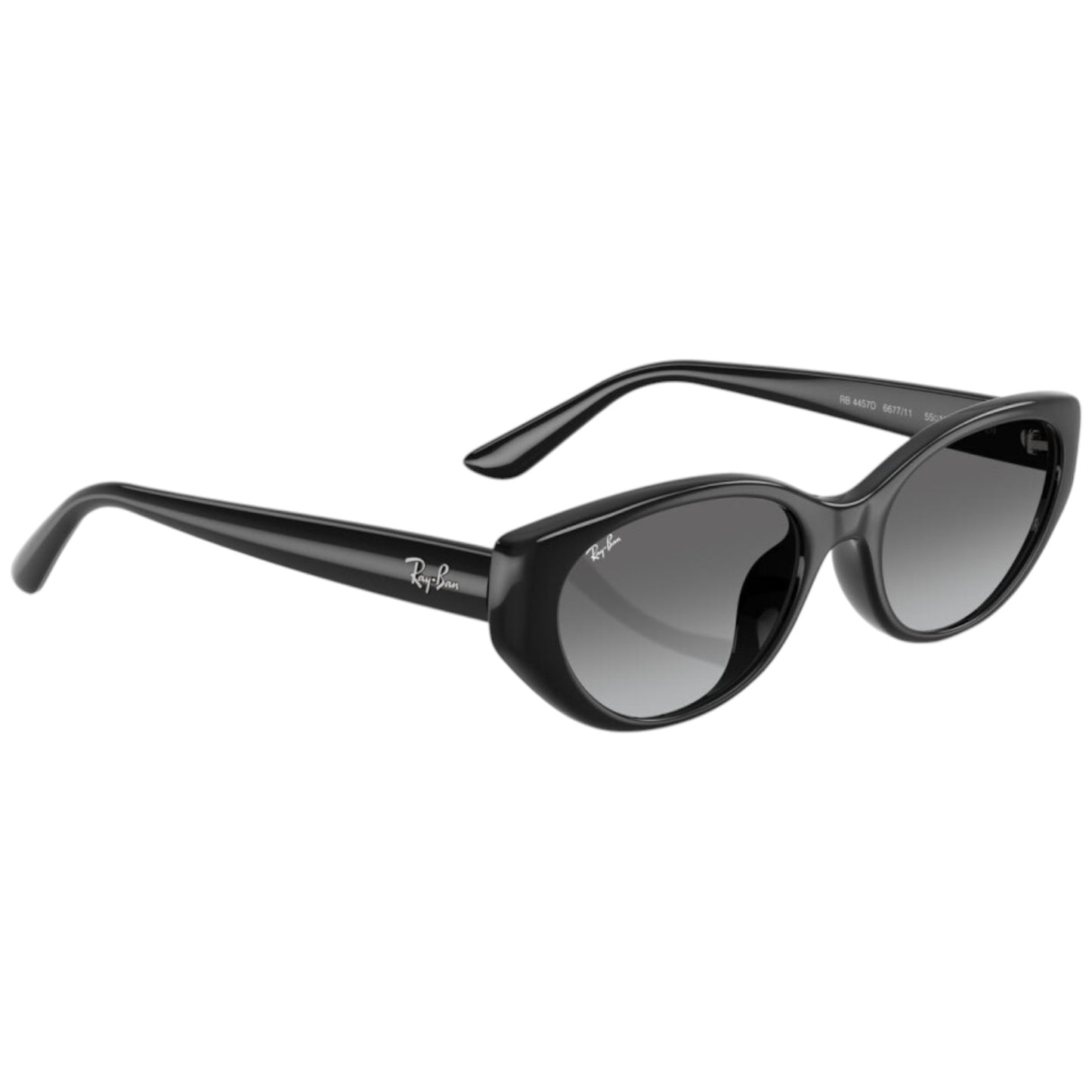 RayBan RB 4457D