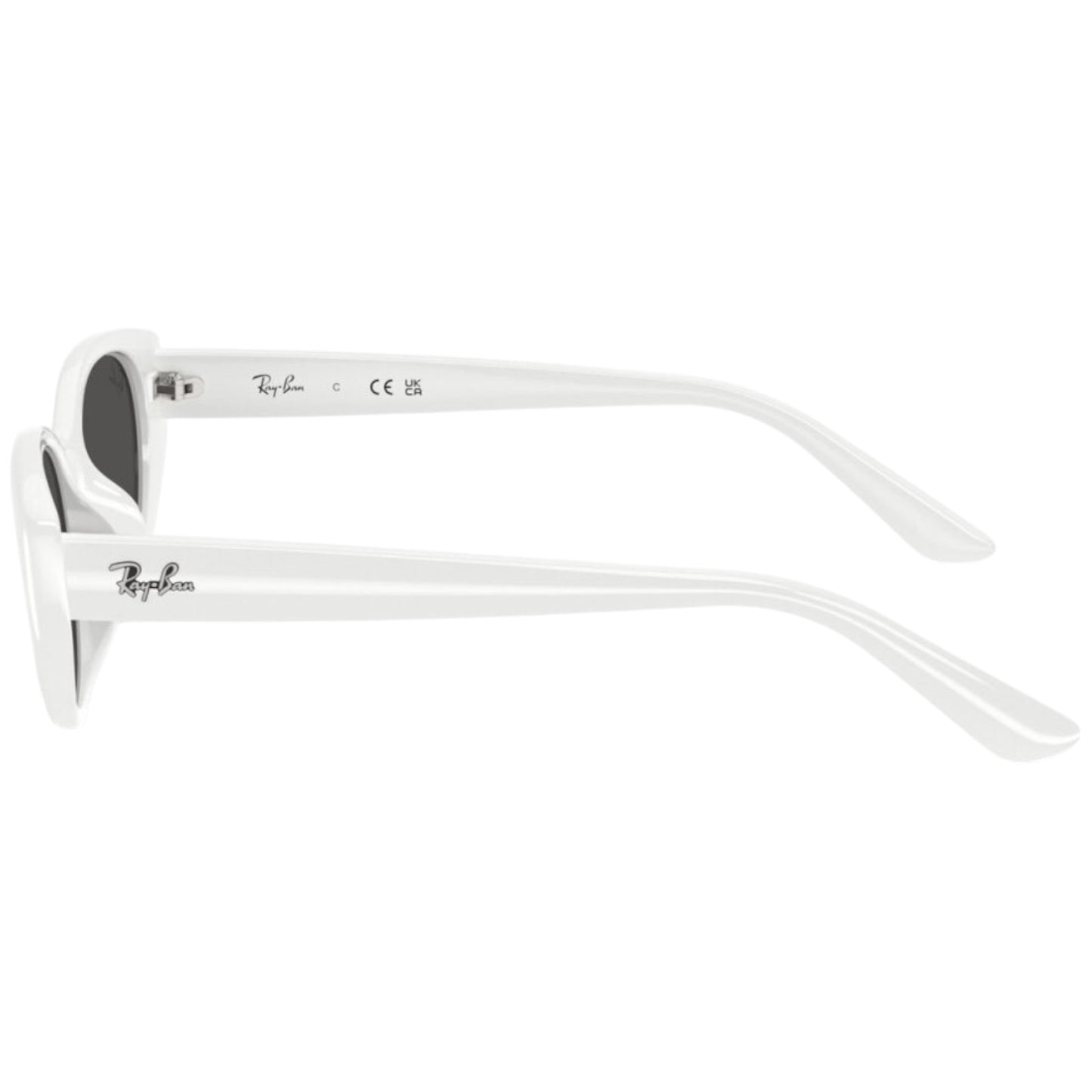 RayBan RB 4457D
