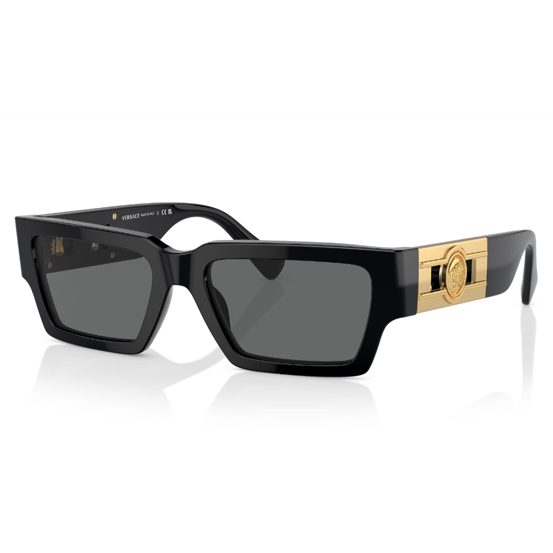 Versace VE 4459 GB1 87