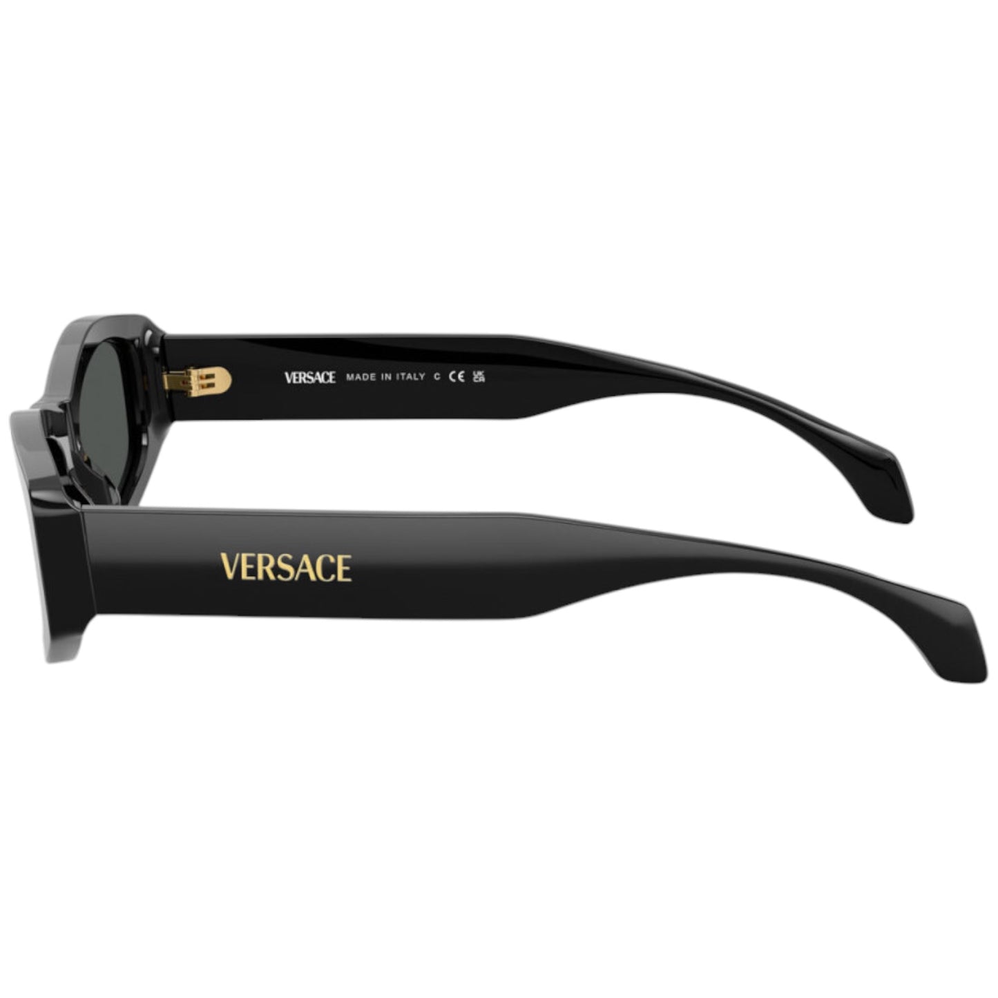 Versace VE 4487