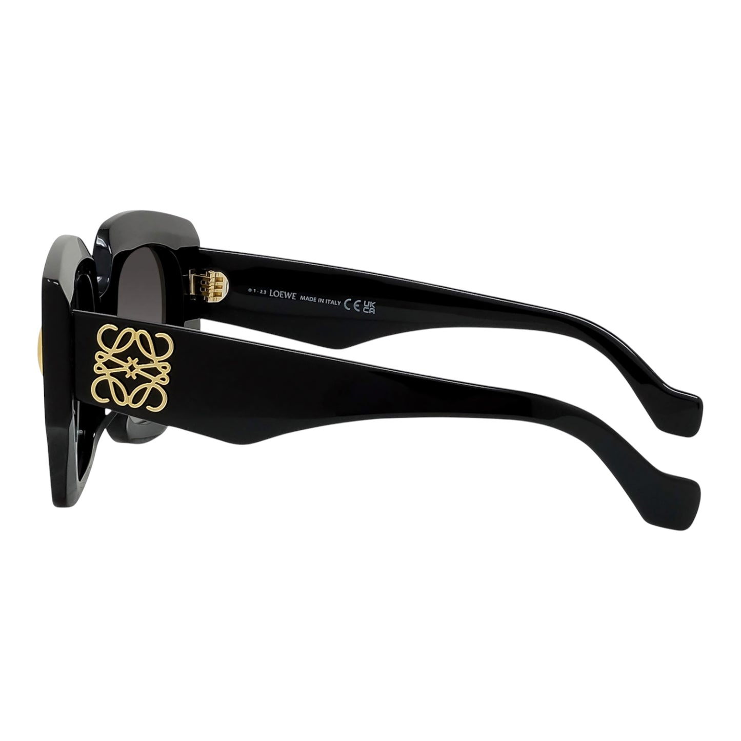 Loewe Anagram LW40129U