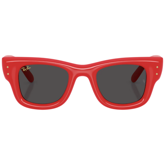 Rayban RB 4940 Wayfarer Puffer