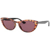 RayBan RB 4314N NINA