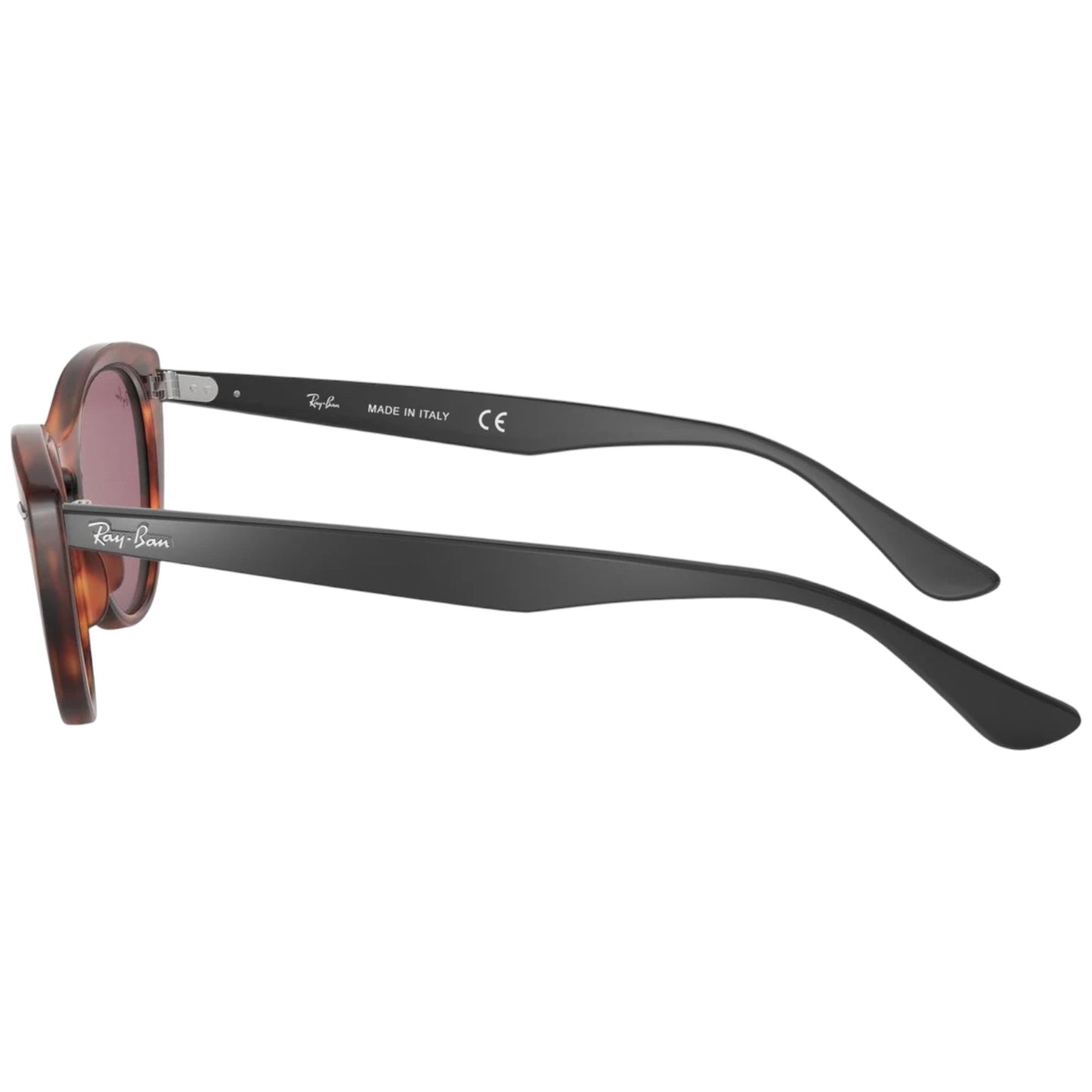 RayBan RB 4314N NINA