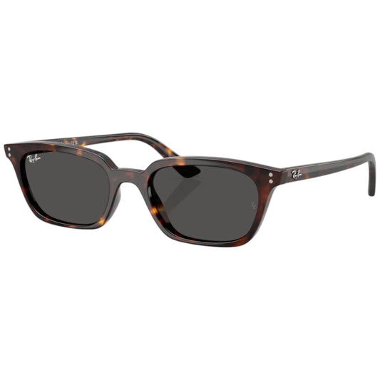 RayBan RB 4456 ZAYA