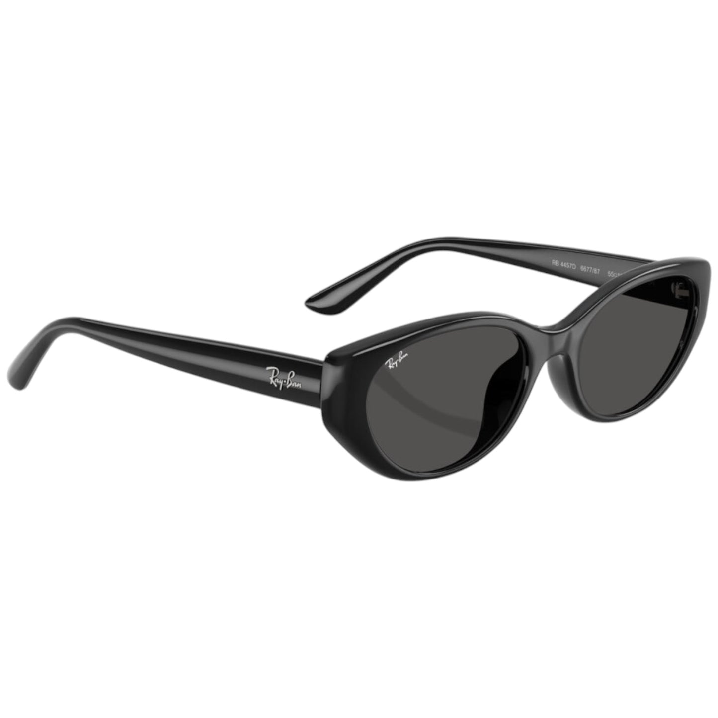 RayBan RB 4457D